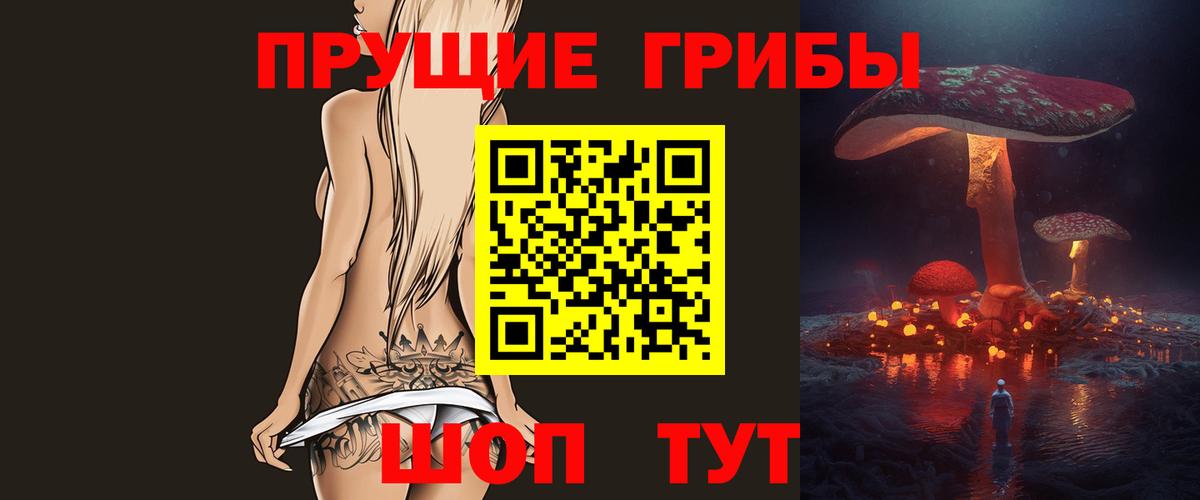 Новочеркасск  Псилоцибиновые грибы ЛСД  Вход с VPN  Галлюциногенные грибы Psilocybe 