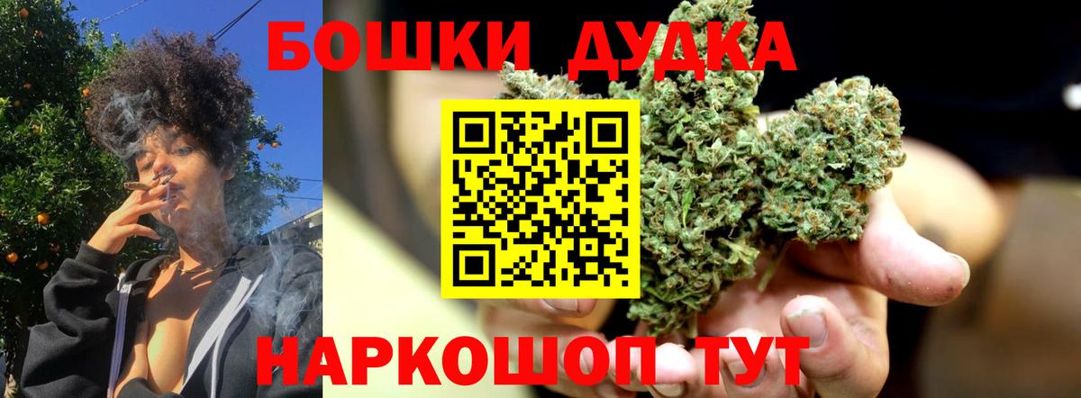 Каннабис планчик  Канабис семена  Вход с VPN  Канабис OG Kush  Новочеркасск 